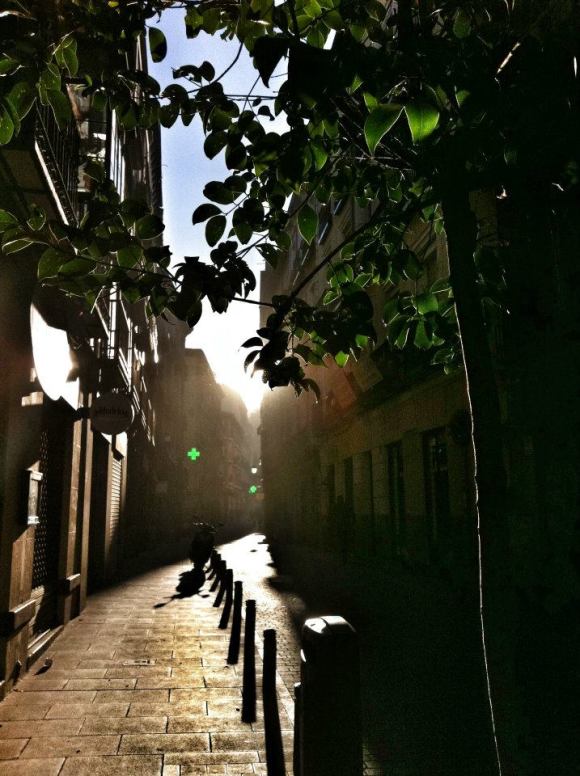 Untitled Samantha Geraghty