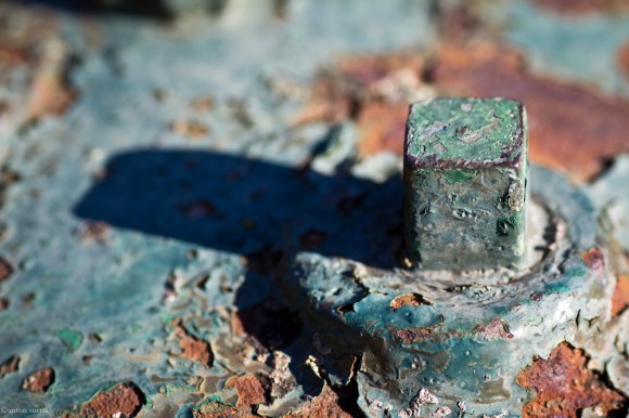 Tony Currie - Winter Sun