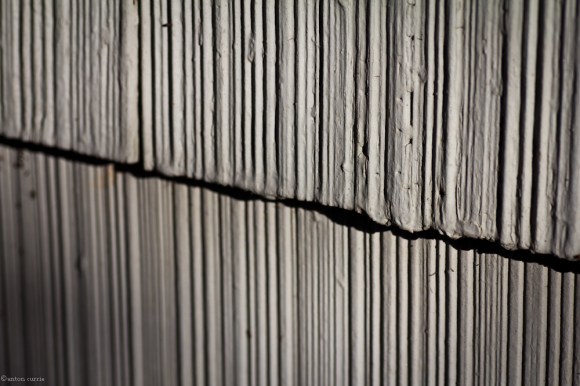 Tony Currie - Winter Sun