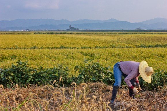 Tom Krawczyk - Untitled