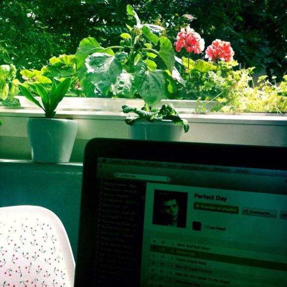 Alicia Martínez Díaz - Berlin