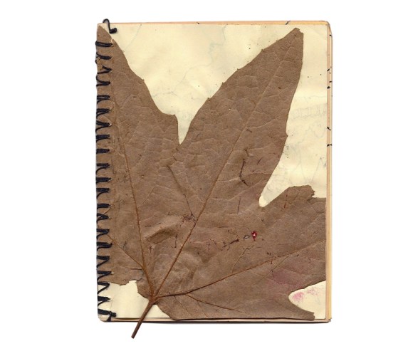 Max Nelson - "Swept" (Click the image to check out the piece in full)